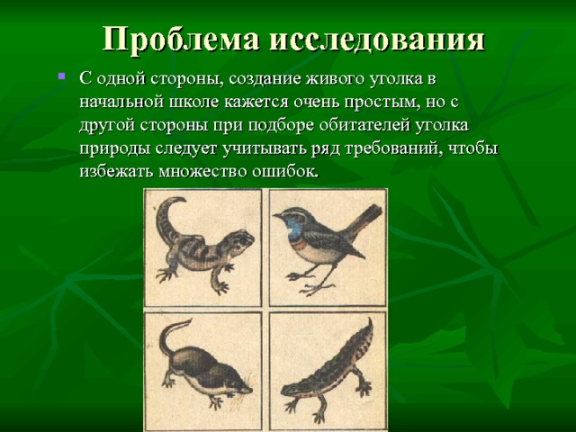 Проблема исследования С одной стороны, создание живого уголка в начальной школе кажется очень простым, но с другой стороны при подборе обитателей уголка природы следует учитывать ряд требований, чтобы избежать множество ошибок. 