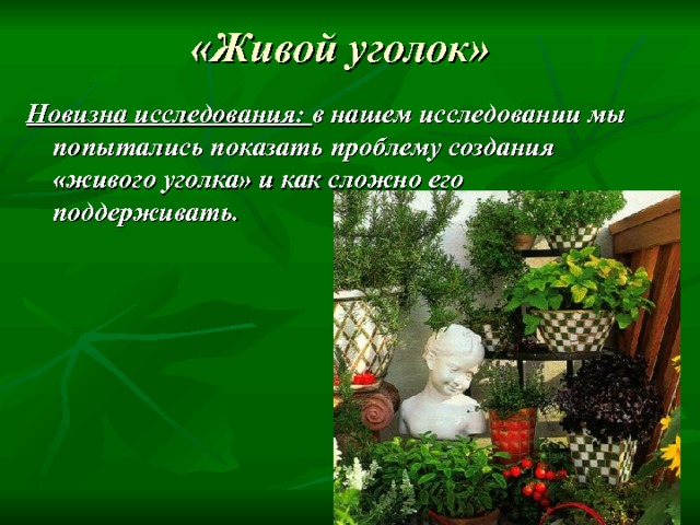 «Живой уголок» Новизна исследования: в нашем исследовании мы попытались показать проблему создания «живого уголка» и как сложно его поддерживать. 