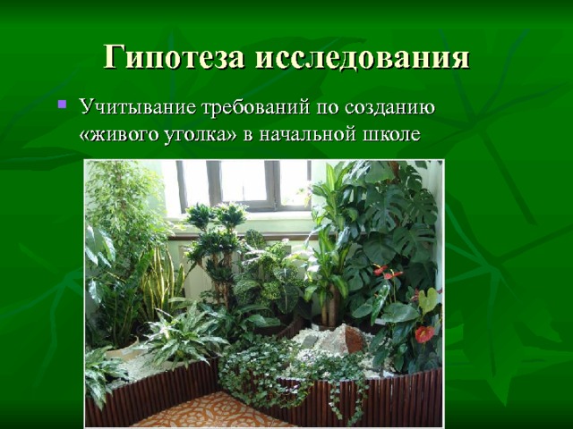 Гипотеза исследования Учитывание требований по созданию «живого уголка» в начальной школе 