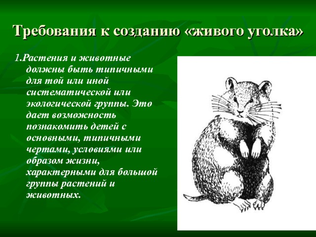 Викторина о животных для начальной школы с ответами презентация