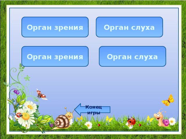 Орган зрения Орган слуха Орган слуха Орган зрения Конец игры