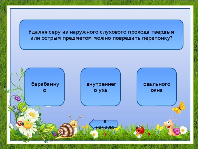 Удаляя серу из наружного слухового прохода твердым или острым предметом можно повредить перепонку?   барабанную   внутреннего уха овального окна в начало