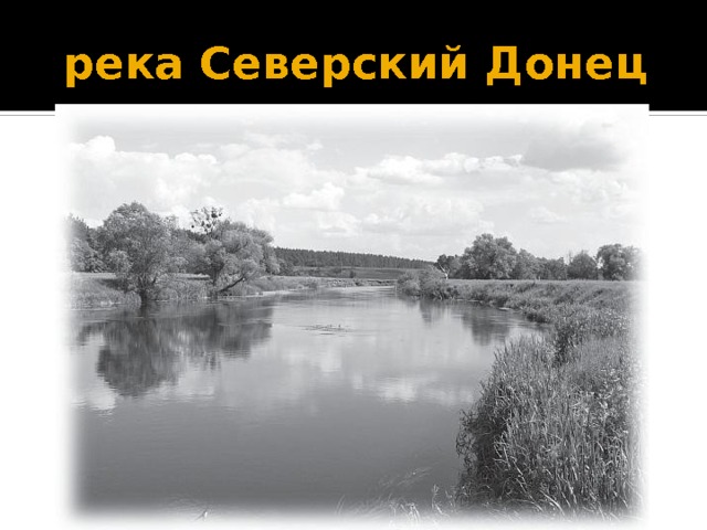 река Северский Донец 