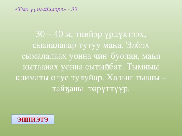 «Тыа үүнээйилэрэ» - 30 30 – 40 м. тиийэр үрдүктээх, сыаналанар тутуу маһа. Элбэх сымалалаах уонна чиҥ буолан, маһа кытаанах уонна сытыйбат. Тымныы климаты олус тулуйар. Халыҥ тыаны – тайҕаны төрүттүүр. ЭППИЭТЭ