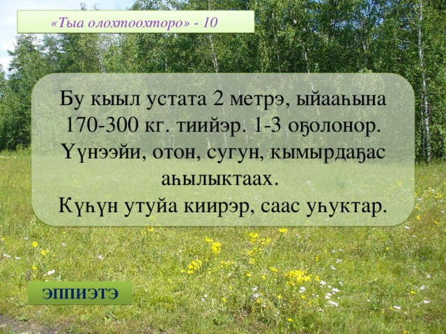 «Тыа олохтоохторо» - 10 Бу кыыл устата 2 метрэ, ыйааһына 170-300 кг. тиийэр. 1-3 оҕолонор. Үүнээйи, отон, сугун, кымырдаҕас аһылыктаах. Күһүн утуйа киирэр, саас уһуктар. ЭППИЭТЭ