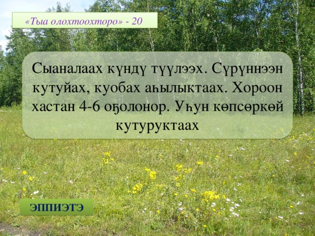 «Тыа олохтоохторо» - 20 Сыаналаах күндү түүлээх. Сүрүннээн кутуйах, куобах аһылыктаах. Хороон хастан 4-6 оҕолонор. Уһун көпсөркөй кутуруктаах ЭППИЭТЭ