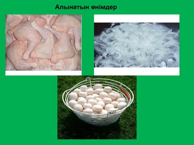  Алынатын өнімдер 