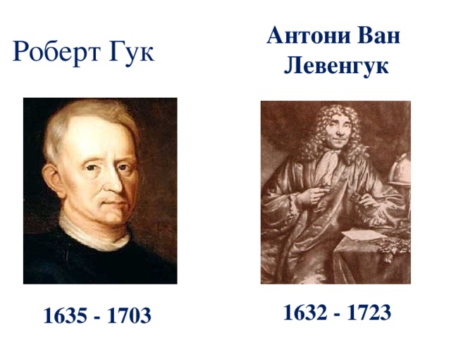 Роберт Гук Антони Ван Левенгук 1632 - 1723 1635 - 1703