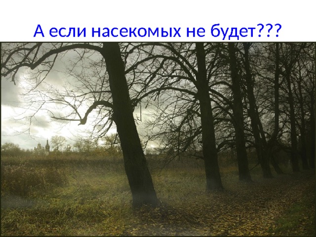 А если насекомых не будет??? 