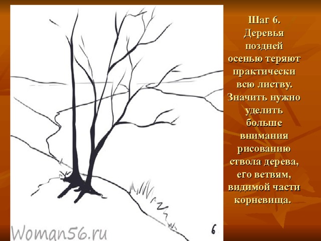 Шаг 6.  Деревья поздней осенью теряют практически всю листву. Значить нужно уделить больше внимания рисованию ствола дерева, его ветвям, видимой части корневища.   