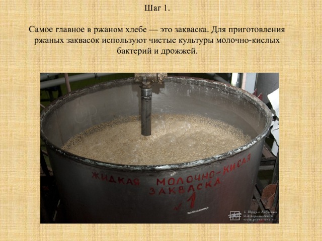 Шаг 1. Самое главное в ржаном хлебе — это закваска. Для приготовления ржаных заквасок используют чистые культуры молочно-кислых бактерий и дрожжей . 