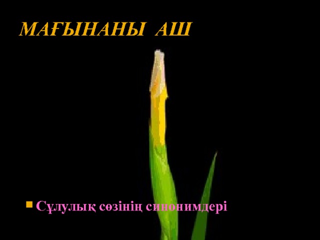 Мағынаны аш Сұлулық сөзінің синонимдері 