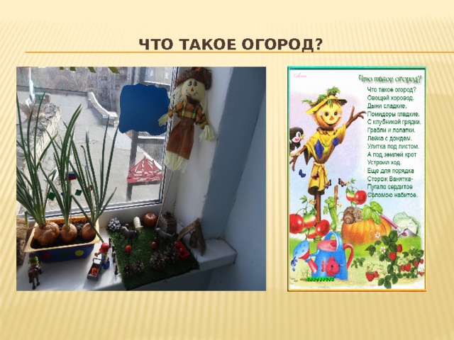 Что такое огород? 