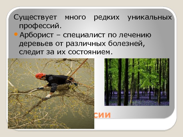 Существует много редких уникальных профессий. Арборист – специалист по лечению деревьев от различных болезней, следит за их состоянием. Редкие профессии 