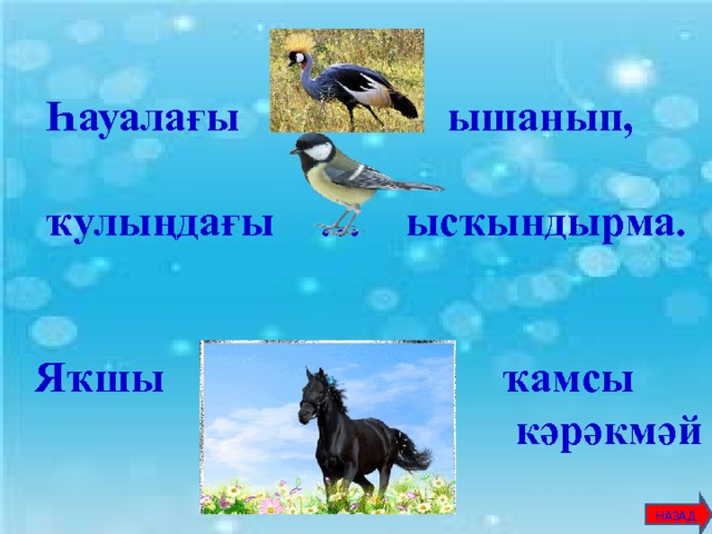  Һауалағы … ышанып,   ҡулыңдағы … ысҡындырма.   Яҡшы … ҡамсы  кәрәкмәй      НАЗАД 