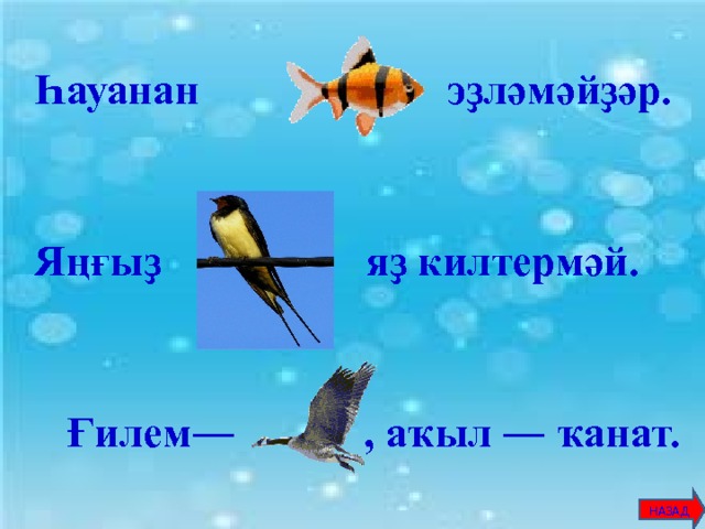 Һауанан … эҙләмәйҙәр.    Яңғыҙ … яҙ килтермәй.     Ғилем― … , аҡыл ― ҡанат.        НАЗАД 