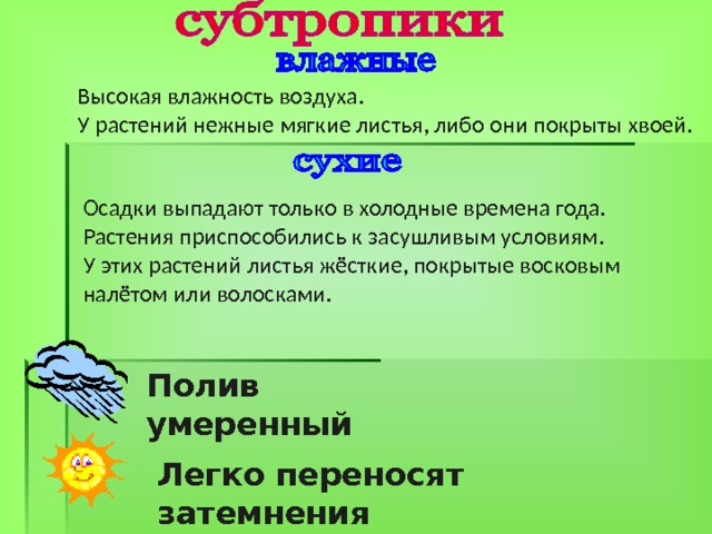 Высокая влажность воздуха. У растений нежные мягкие листья, либо они покрыты хвоей. Осадки выпадают только в холодные времена года. Растения приспособились к засушливым условиям. У этих растений листья жёсткие, покрытые восковым налётом или волосками. Полив умеренный Легко переносят затемнения 