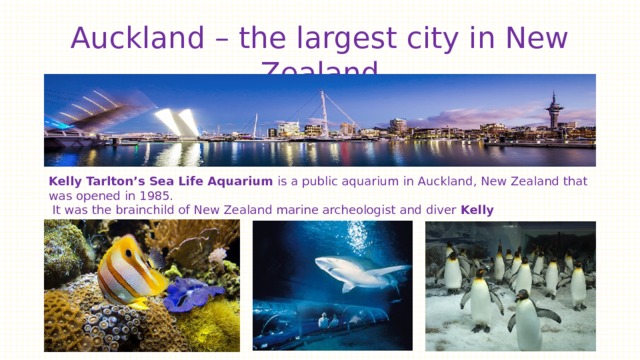 Auckland – the largest city in New Zealand Kelly Tarlton’s Sea Life Aquarium  is a public aquarium in Auckland, New Zealand that was opened in 1985.  It was the brainchild of New Zealand marine archeologist and diver  Kelly Tarlton  (1937–1985). 