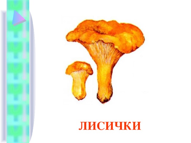 ЛИСИЧКИ