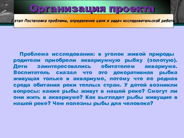 Организация проекта I этап Постановка проблемы, определение цели и задач исследовательской работы  Проблема исследования: в уголок живой природы родители приобрели аквариумную рыбку (золотую). Дети заинтересовались обитателем аквариума. Воспитатель сказал что это декоративная рыбка живущая только в аквариуме, потому что ее родная среда обитания реки теплых стран. У детей возникли вопросы: какие рыбы живут в нашей реке? Смогут ли они жить в аквариуме? Как выглядят рыбы живущие в нашей реке? Чем полезны рыбы для человека? 