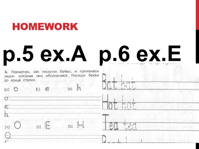 homework p.5 ex.A p.6 ex.E 