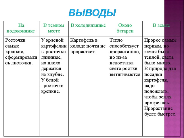 На подоконнике Росточки самые крепкие, сформировались листочки. В темном месте В холодильнике У красной картофелины росточки длинные, но плохо держатся на клубне. У белой –росточки крепкие. Картофель в холоде почти не прорастает. Около батареи Тепло способствует прорастанию, но из-за недостатка света ростки вытягиваются В земле Пророс самым первым, но земля была теплой, света было много. В природе для посадки картофеля, надо подождать, чтобы земля прогрелась. Прорастание будет быстрее. 