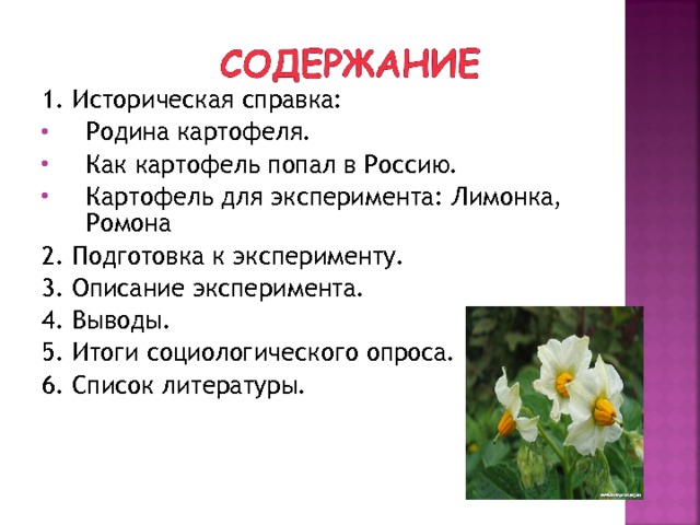 1. Историческая справка: Родина картофеля. Как картофель попал в Россию. Картофель для эксперимента: Лимонка, Ромона 2. Подготовка к эксперименту. 3. Описание эксперимента. 4. Выводы. 5. Итоги социологического опроса. 6. Список литературы. 