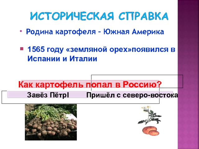 Родина картофеля – Южная Америка   1565 году «земляной орех»появился в Испании и Италии Как картофель попал в Россию? Завёз Пётр I Пришёл с северо-востока 