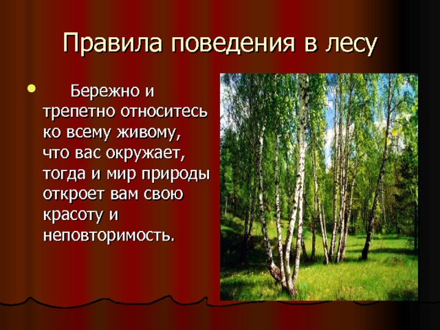 Правила поведения в лесу  Бережно и трепетно относитесь ко всему живому, что вас окружает, тогда и мир природы откроет вам свою красоту и неповторимость.  