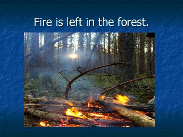 Fire is left in the forest. 