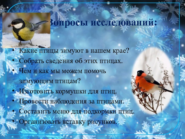 Вопросы исследований: Какие птицы зимуют в нашем крае? Собрать сведения об этих птицах. Чем и как мы можем помочь  зимующим птицам? Изготовить кормушки для птиц. Провести наблюдения за птицами. Составить меню для подкормки птиц. Организовать вставку рисунков. 