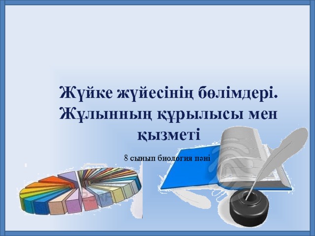 Жүйке жүйесінің бөлімдері. Жұлынның құрылысы мен қызметі 8 сынып биология пәні 