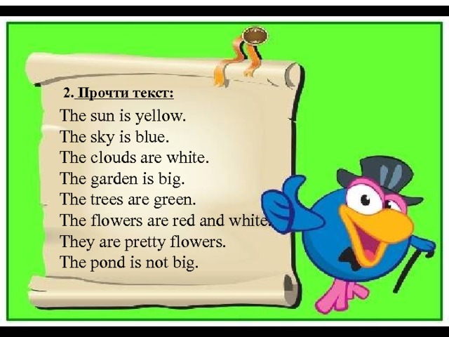  2.  Прочти текст: The sun is yellow. The sky is blue. The clouds are white. The garden is big. The trees are green. The flowers are red and white. They are pretty flowers. The pond is not big. 