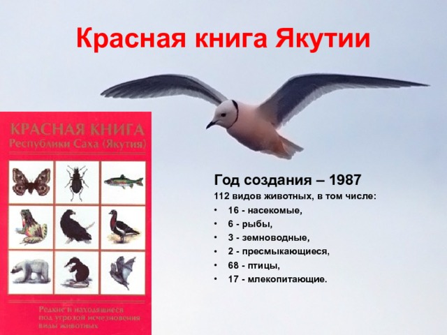Красная книга Якутии Год создания – 1987 112 видов животных, в том числе: 16 - насекомые, 6 - рыбы, 3 - земноводные, 2 - пресмыкающиеся, 68 - птицы, 17 - млекопитающие.  