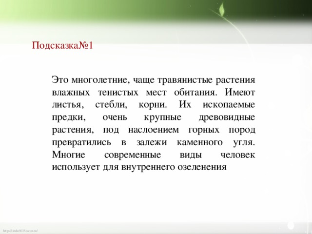 Подсказка№1 Это многолетние, чаще травянистые растения влажных тенистых мест обитания. Имеют листья, стебли, корни. Их ископаемые предки, очень крупные древовидные растения, под наслоением горных пород превратились в залежи каменного угля. Многие современные виды человек использует для внутреннего озеленения