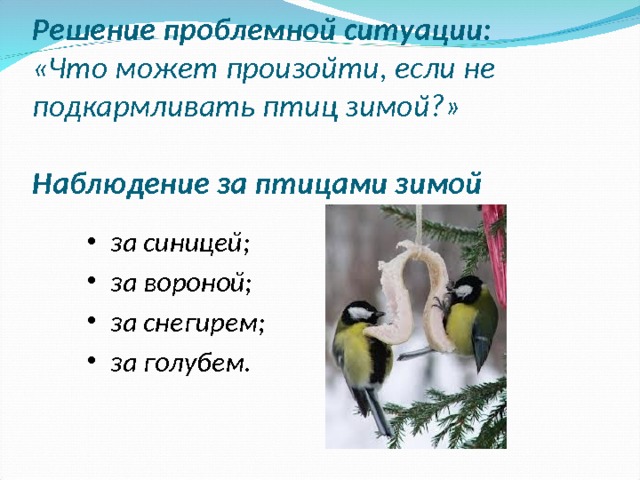 Решение проблемной ситуации:  «Что может произойти, если не подкармливать птиц зимой?»   Наблюдение за птицами зимой   за синицей; за вороной; за снегирем; за голубем.  