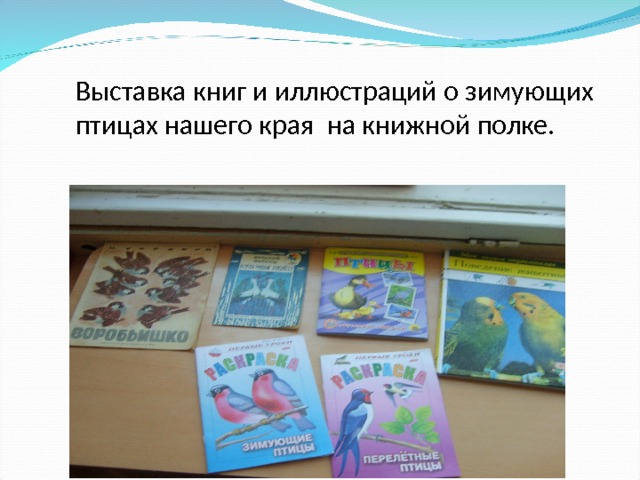 Выставка книг и иллюстраций о зимующих птицах нашего края  на книжной полке.  