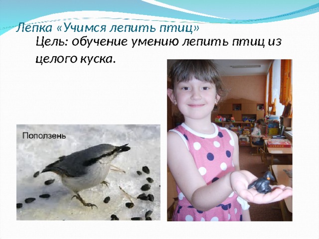 Лепка «Учимся лепить птиц» Цель: обучение умению лепить птиц из целого куска.  