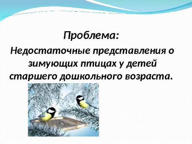 Проблема: Недостаточные представления о зимующих птицах у детей старшего дошкольного возраста.  