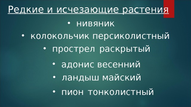 Редкие и исчезающие растения нивяник колокольчик персиколистный прострел  раскрытый адонис весенний ландыш майский пион  тонколистный 