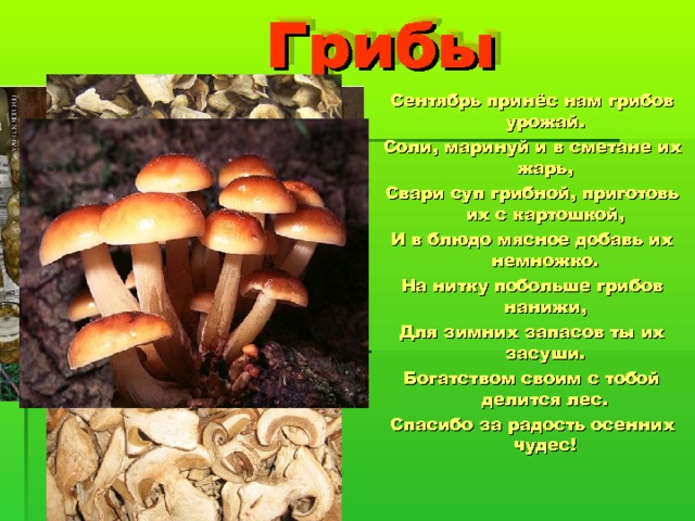   Грибы  Сентябрь принёс нам грибов урожай. Соли, маринуй и в сметане их жарь, Свари суп грибной, приготовь их с картошкой, И в блюдо мясное добавь их немножко. На нитку побольше грибов нанижи, Для зимних запасов ты их засуши. Богатством своим с тобой делится лес. Спасибо за радость осенних чудес! 