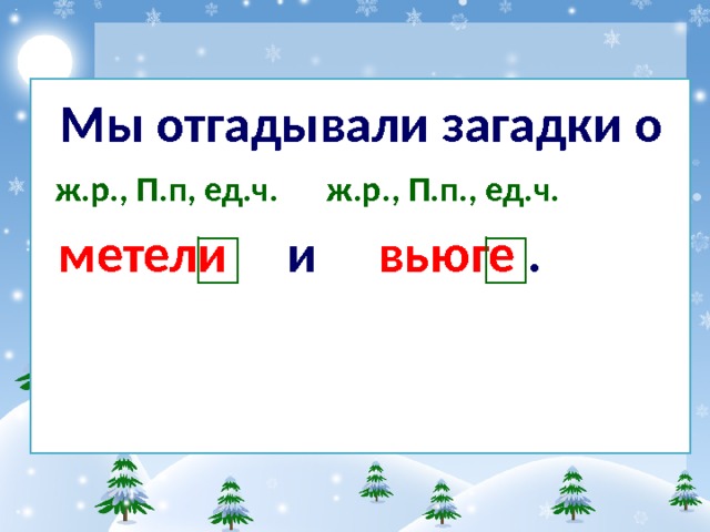  Мы отгадывали загадки о  ж.р., П.п, ед.ч. ж.р., П.п., ед.ч.  метели и вьюге . 