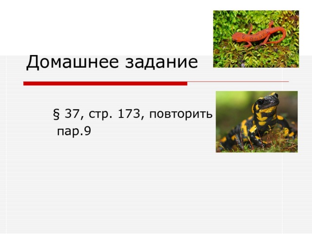 Домашнее задание § 37, стр. 173, повторить  пар.9 