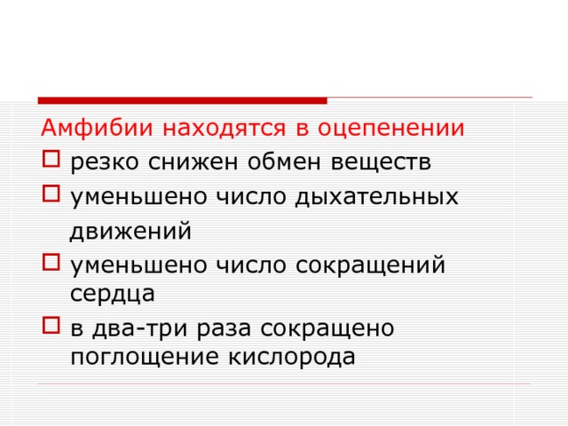 Амфибии находятся в оцепенении резко снижен обмен веществ уменьшено число дыхательных  движений уменьшено число сокращений сердца в два-три раза сокращено поглощение кислорода 