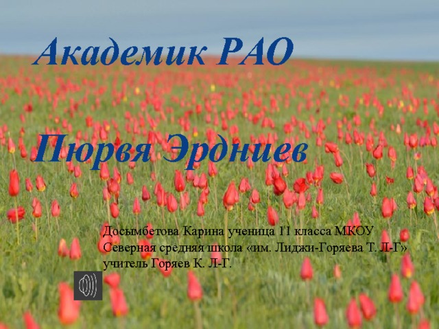 Академик РАО   Пюрвя Эрдниев Досымбетова Карина ученица 11 класса МКОУ Северная средняя школа «им. Лиджи-Горяева Т. Л-Г» учитель Горяев К. Л-Г. 