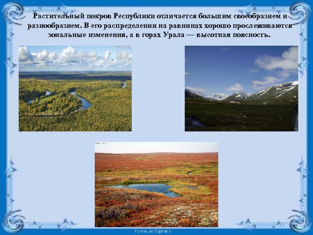 Растительный покров Республики отличается большим своеобразием и разнообразием. В его распределении на равнинах хорошо прослеживаются зональные изменения, а в горах Урала — высотная поясность. 