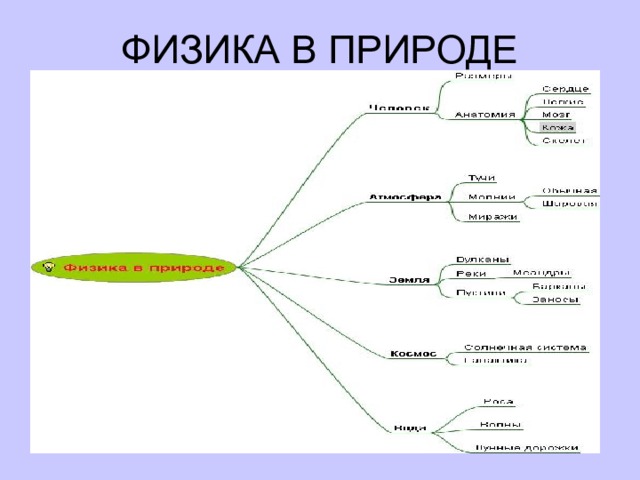 ФИЗИКА В ПРИРОДЕ  