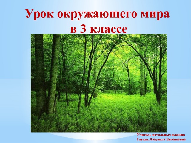 Урок окружающего мира в 3 классе Учитель начальных классов Глухих Людмила Евгеньевна 