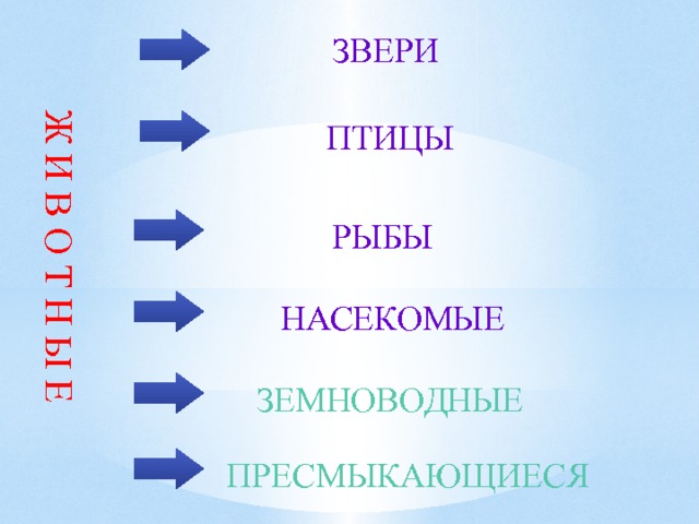 Ж И В О Т Н Ы Е ЗВЕРИ ПТИЦЫ РЫБЫ НАСЕКОМЫЕ ЗЕМНОВОДНЫЕ ПРЕСМЫКАЮЩИЕСЯ 