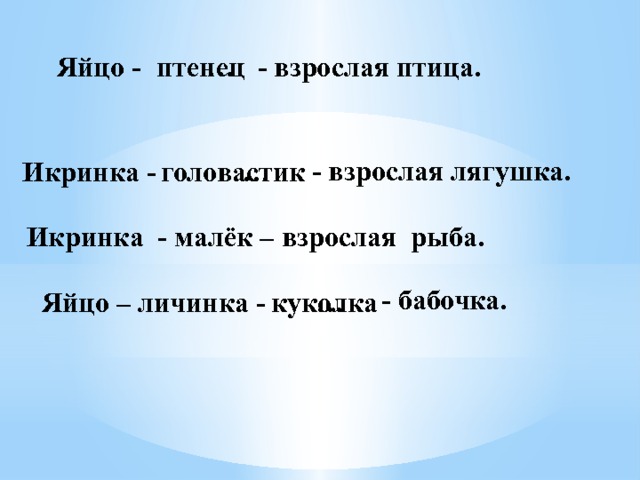 птенец - взрослая птица. … Яйцо - - взрослая лягушка. … головастик Икринка - - малёк – взрослая рыба. Икринка - бабочка. куколка Яйцо – личинка - … 